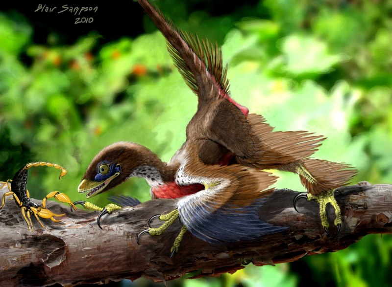 Четырехкрылый Микрораптор