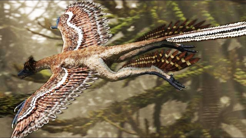 Микрораптор Планета динозавров