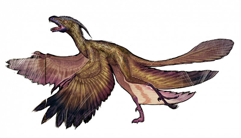 Microraptor АРК