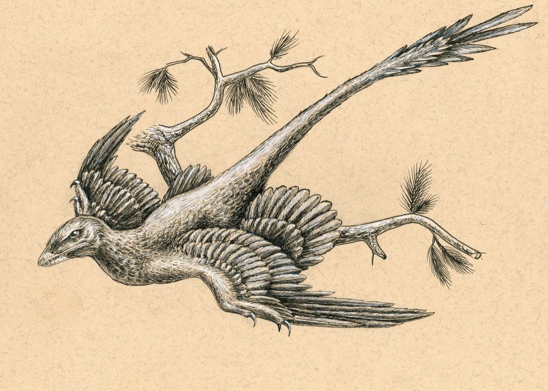 Микрораптор в полете