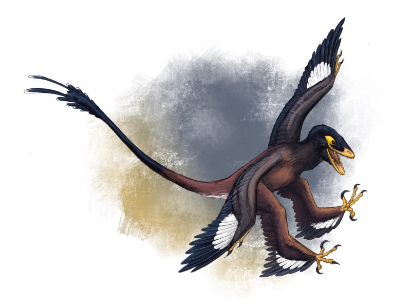 Beasts of the Mesozoic Raptor Микрораптор