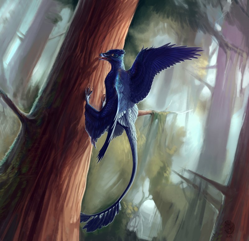 Microraptor zhaoianus