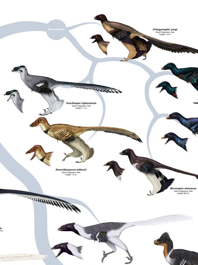 Шляйх динозавры