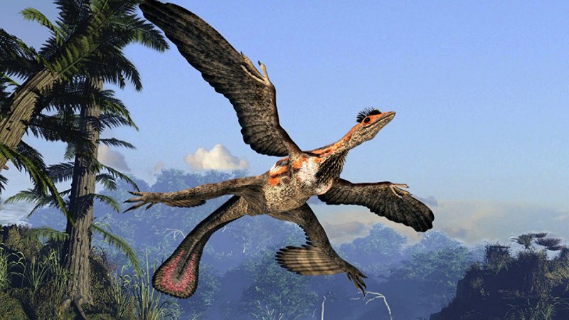 Microraptor АРК