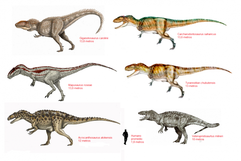 Гиганотозавр и Кархародонтозавр