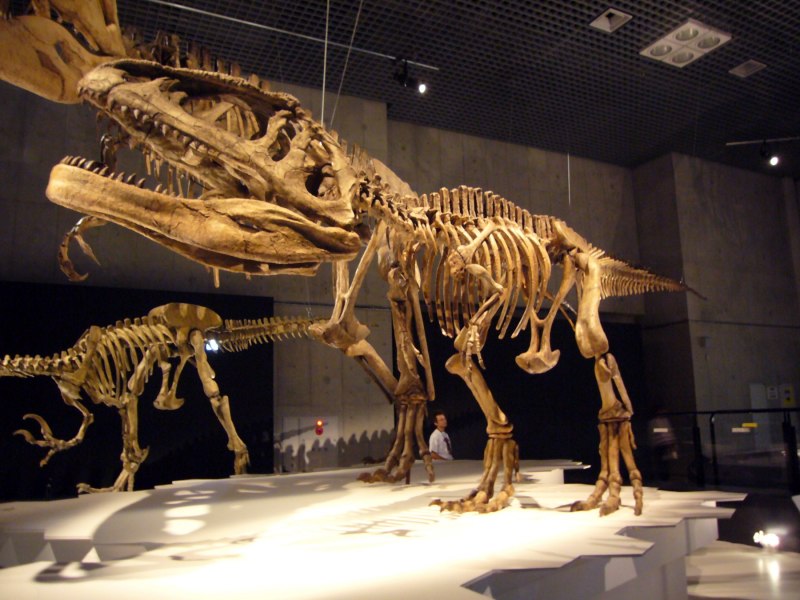 Раджазавр скелет