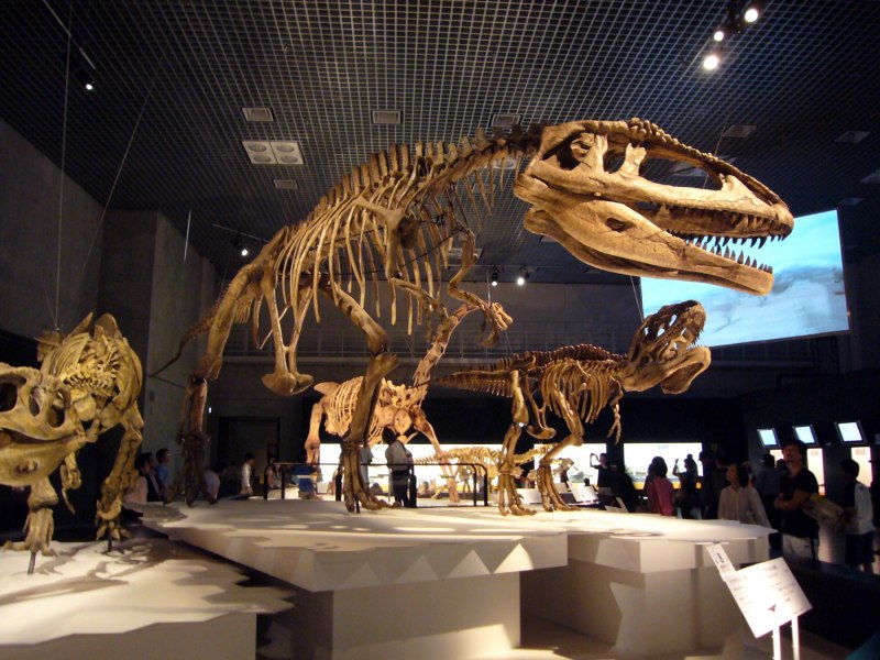 Тираннотитан скелет