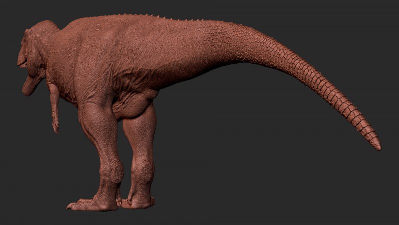 Carcharodontosaurus saharicus скелет