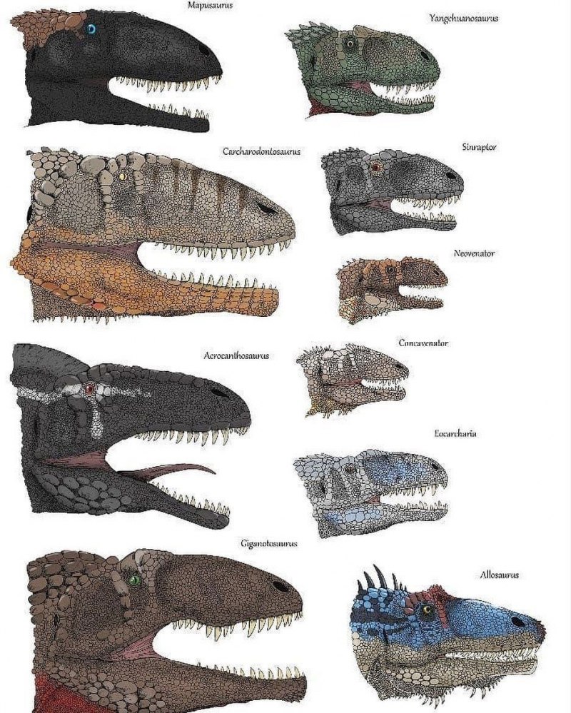 Гигантозавр зауропод