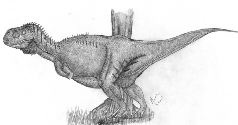 Скорпиовенатор динозавр