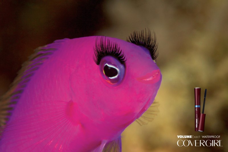 Рыба фиолетового цвета