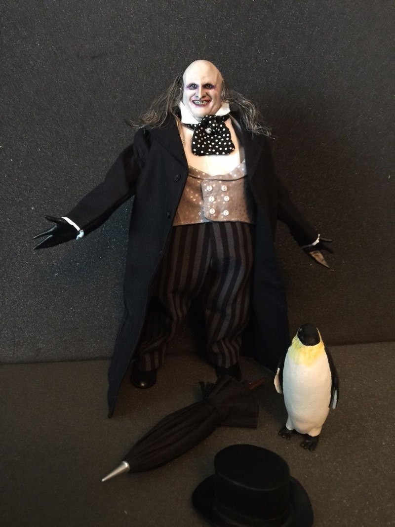 Мадагаскарский Пингвин птица