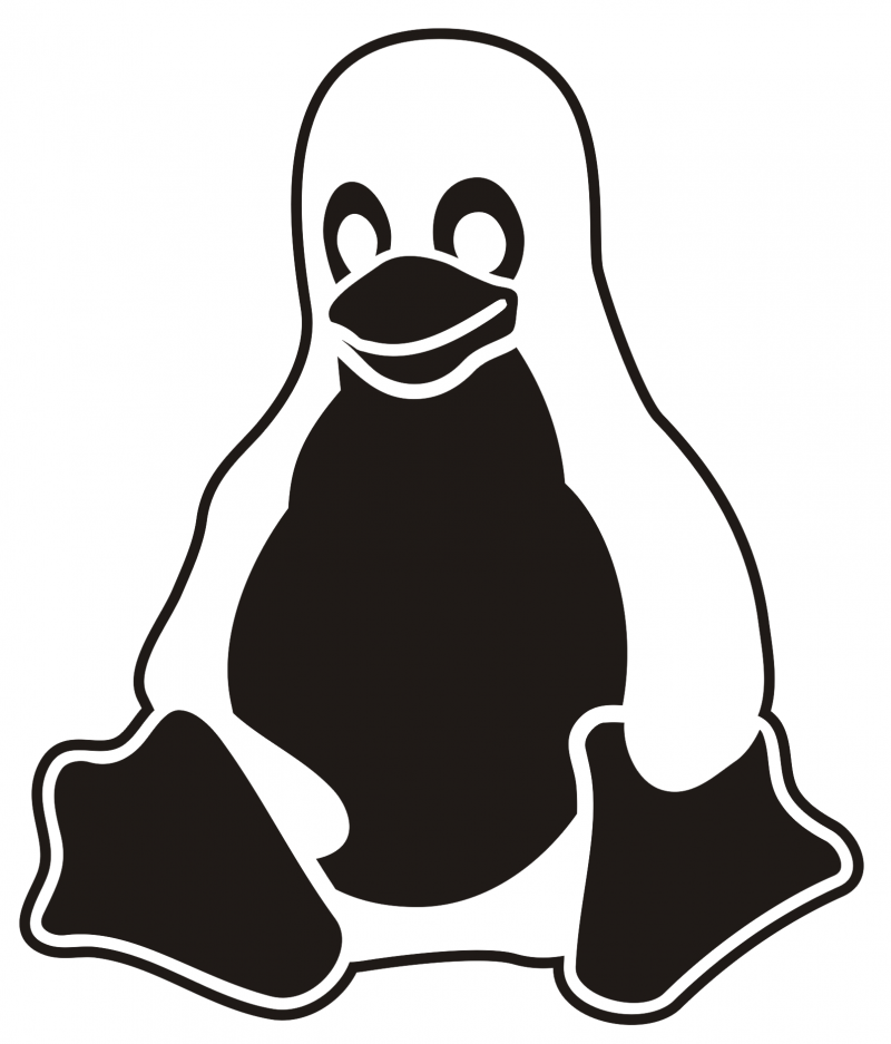 Королевский Пингвин детеныш