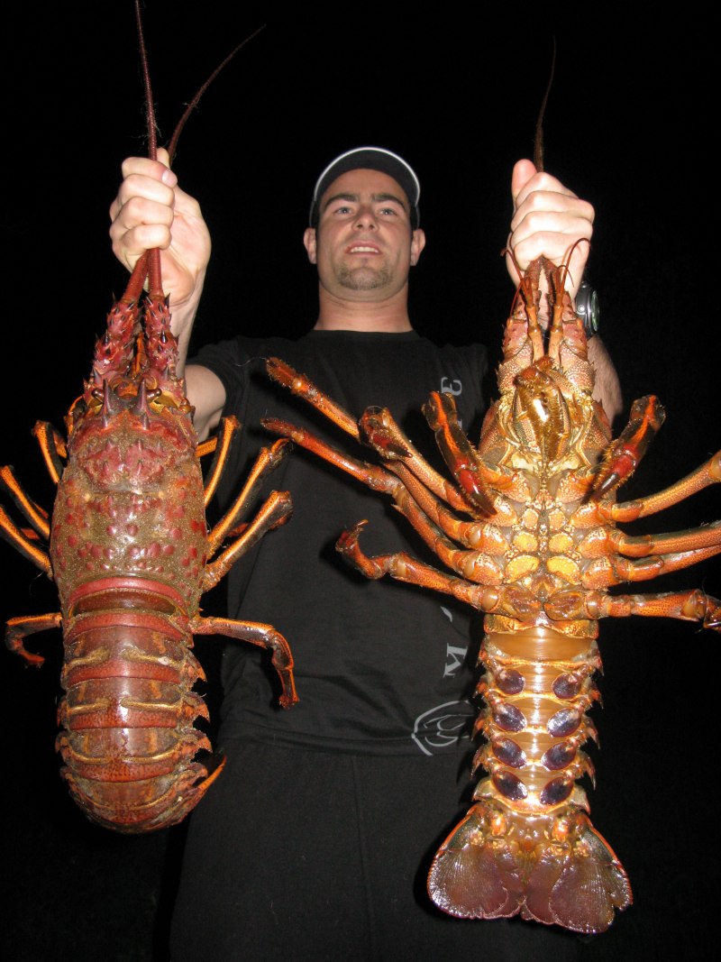 Омар и лобстер
