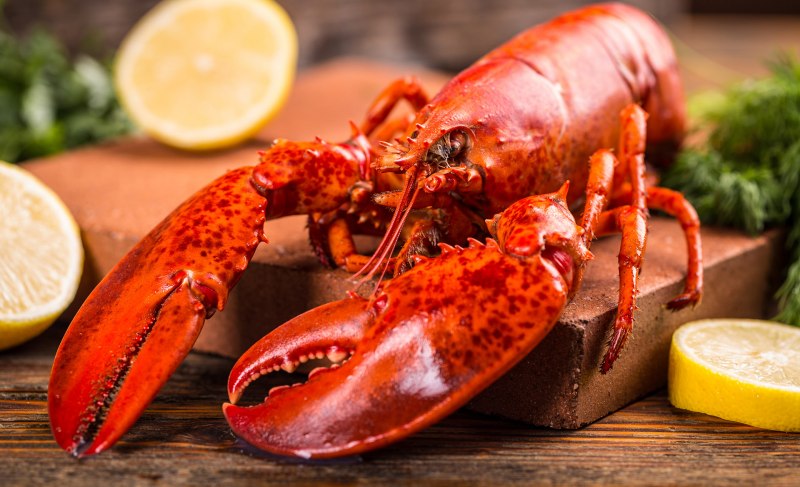 Лобстеры лангусты омары