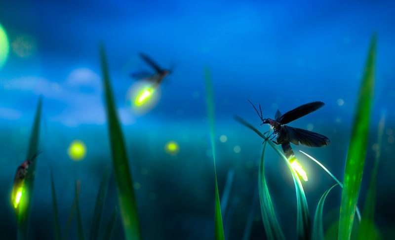 Летающие светлячки