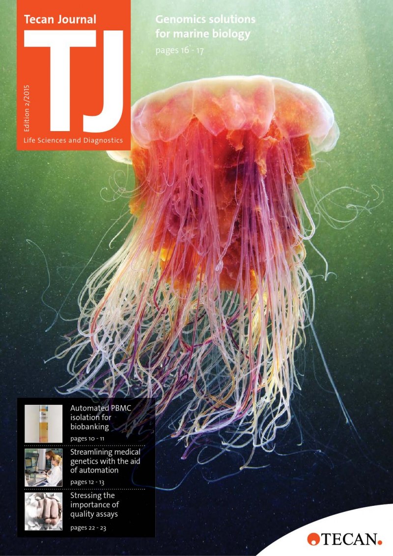 Арктическая цианея