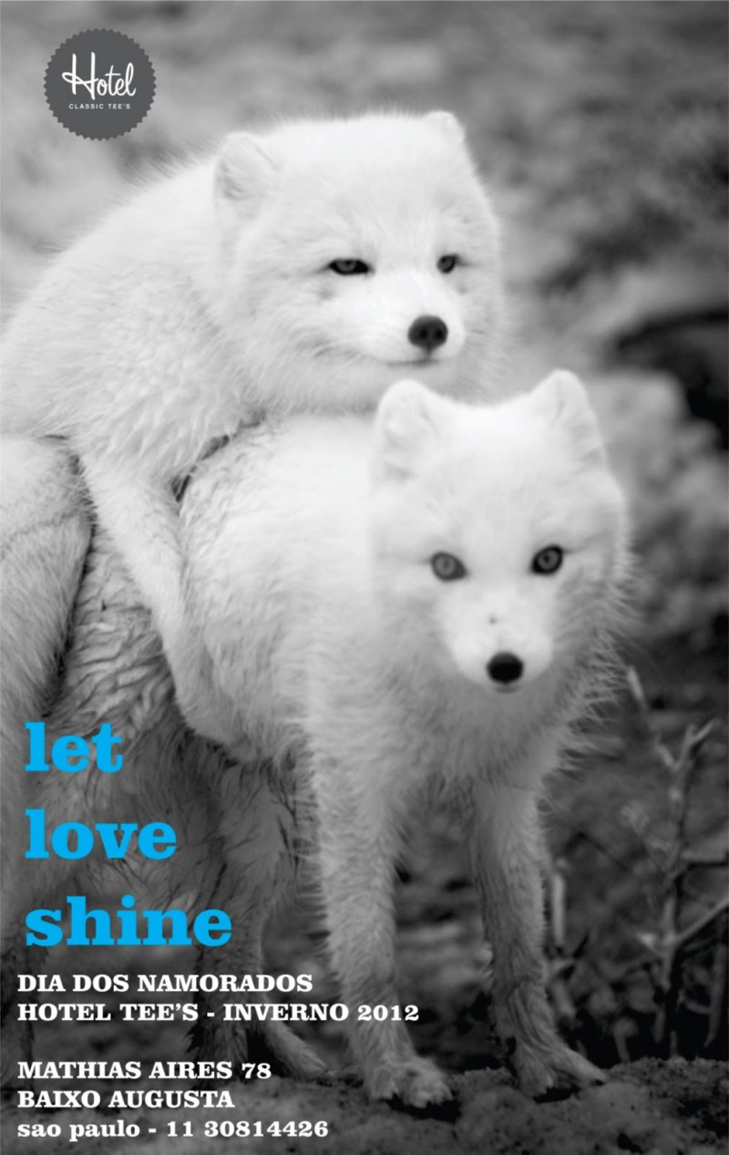 Лисица альбинос