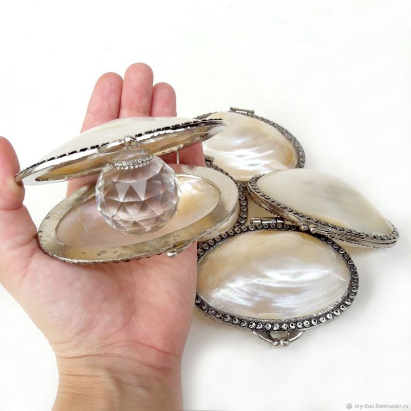 Двустворчатые моллюски мидии