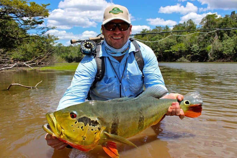 Окунь Линь карась пескарь