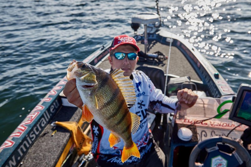 Радужный окунь Пиранья