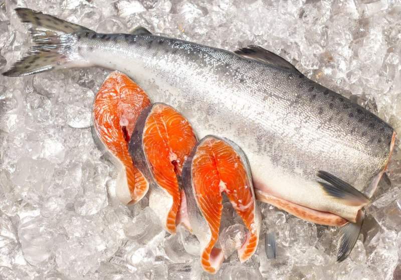 Кольская форель