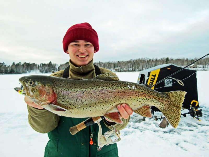 Кижуч это семейство лососевых
