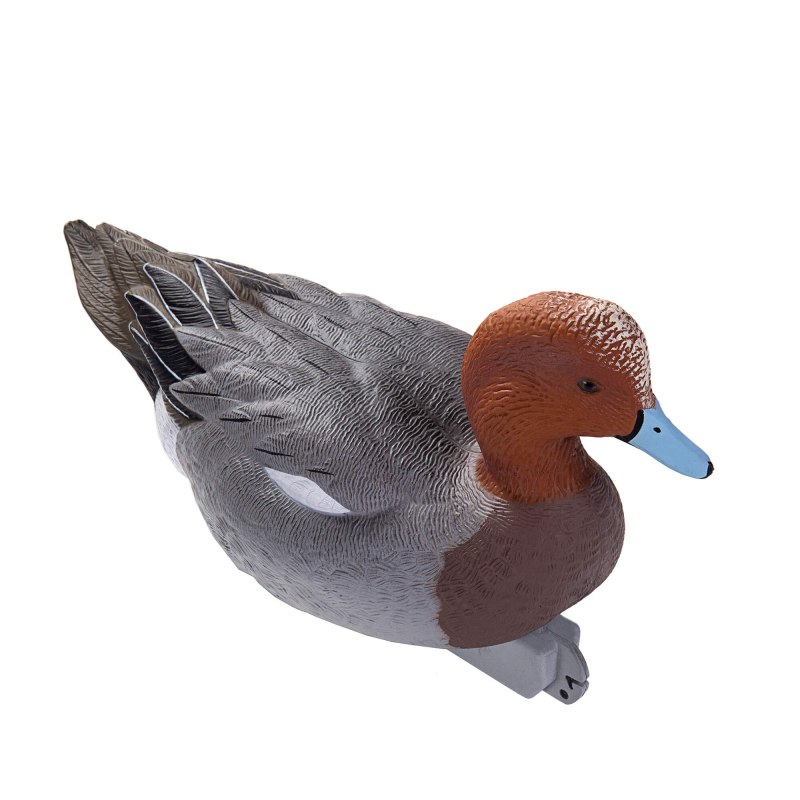 Гибрид кряквы и свиязи