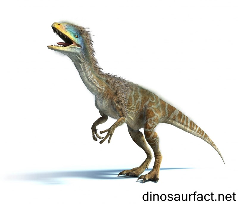 Динозавр хищник гуаньлун