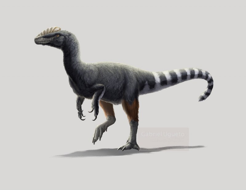 Предок тираннозавра Гуанлонг