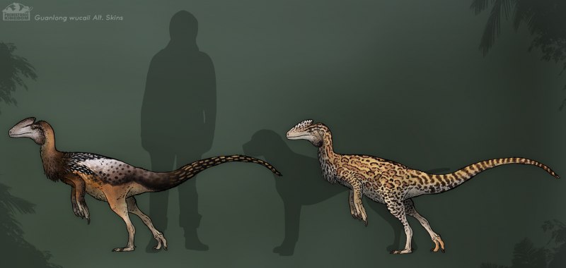Guanlong wucaii