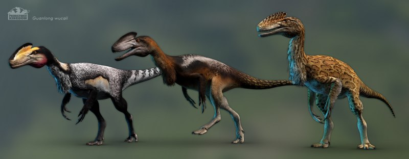 Guanlong wucaii