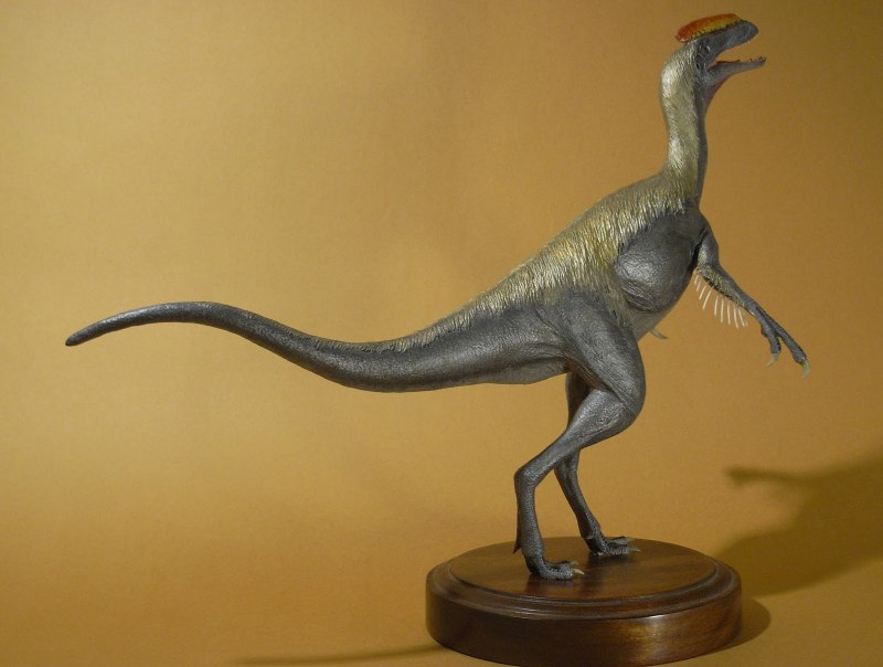 Guanlong wucaii