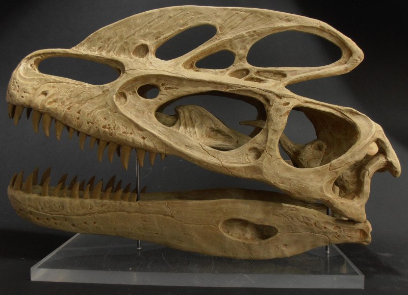 Ледниковый период 3 Гуанлонг