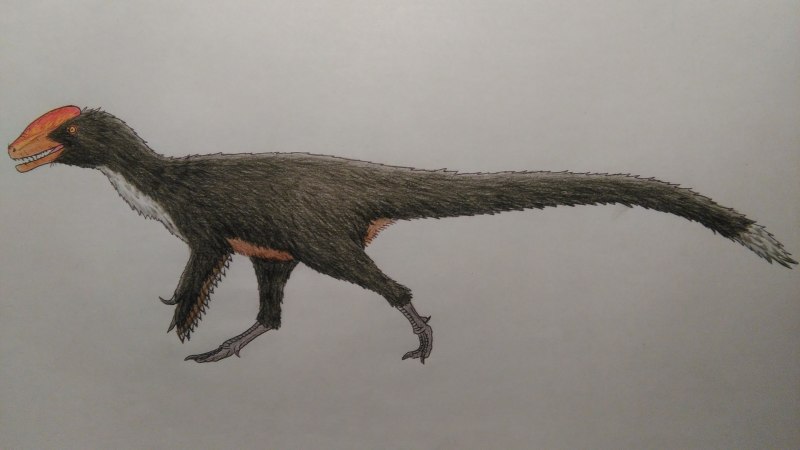 Нептичьи динозавры гуаньлун