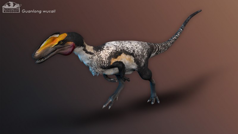 Гуаньлун Ледниковый период