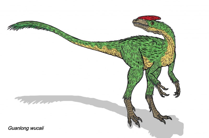 Гуаньлун референс