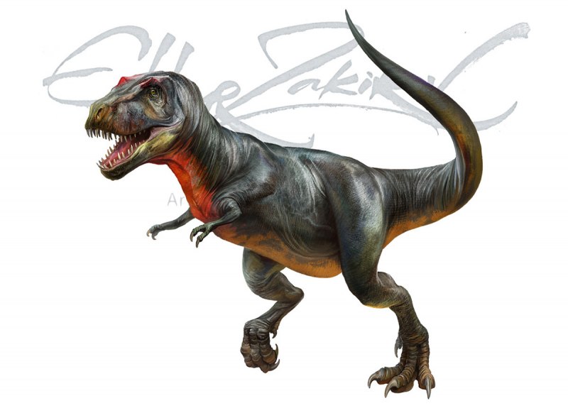 Шарыпозавр килескус