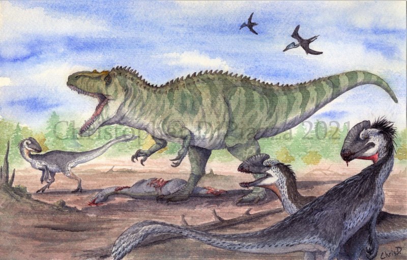 Синраптор и Шунозавр