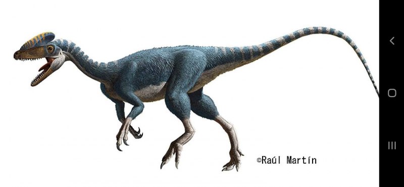 Гуаньлун скелет