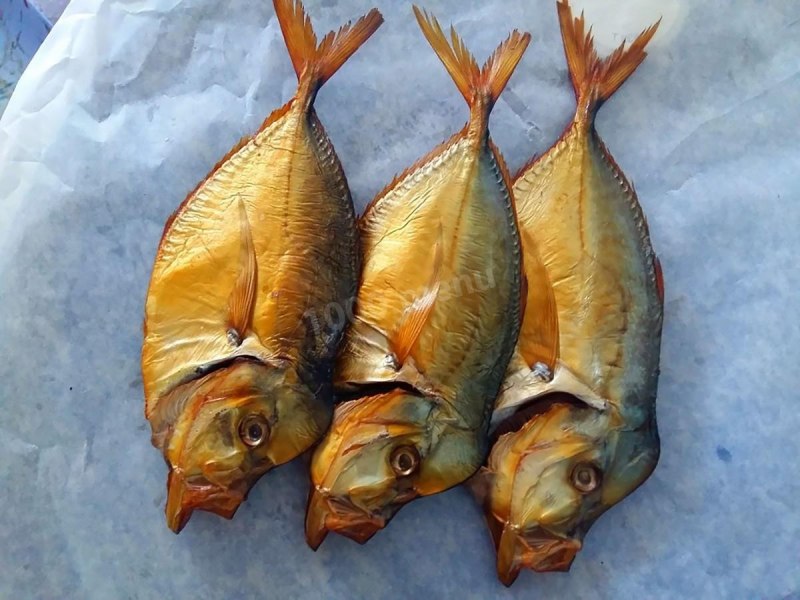 Вомер рыба холодного копчения