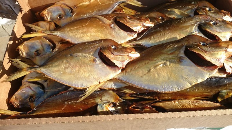 Рыба Луна Вомер