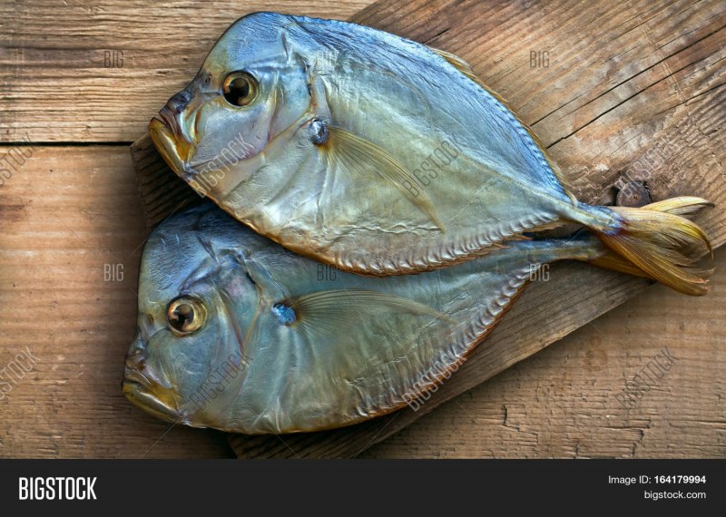 Вомер Черноморский