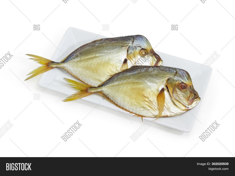 Ставридка Черноморская холодного копчения