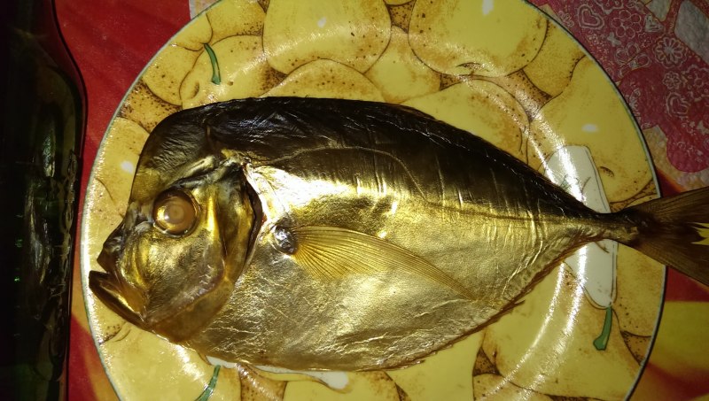 Рыба Вомер и Пиранья