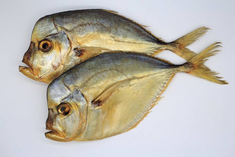 Рыба Луна Вомер