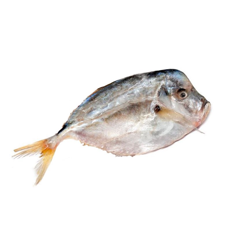 Таранка Вомер