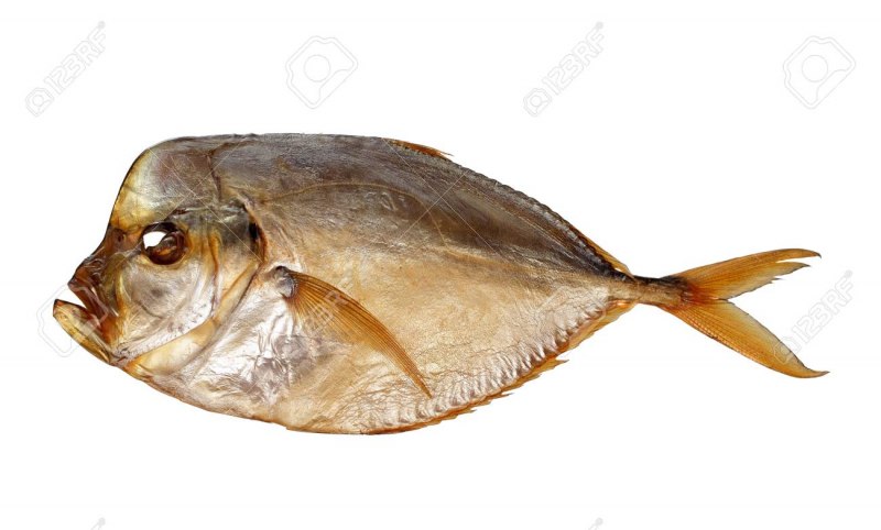 Вомер копчения на белом фоне