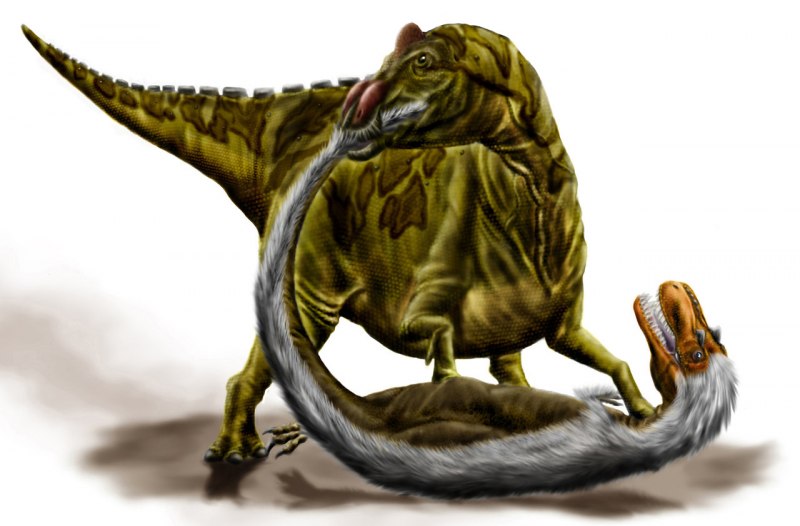 Картинки альбертозавра