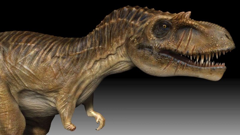 Альбертозавр Юрский период